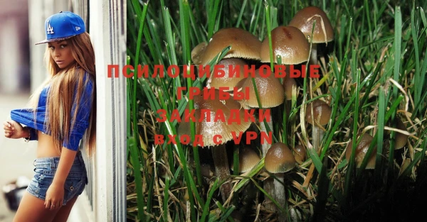 амф Алексин