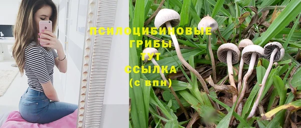 скорость Армянск