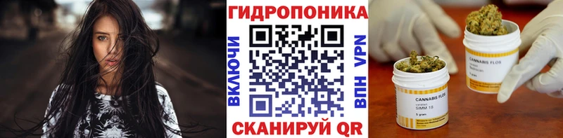 Шишки марихуана Amnesia магазин продажи наркотиков Кириши